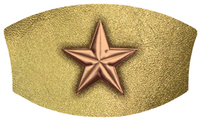 DNSWILL 430 BZ GD Star Bronze Gold
